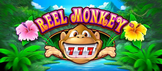 ssbet77 online casino